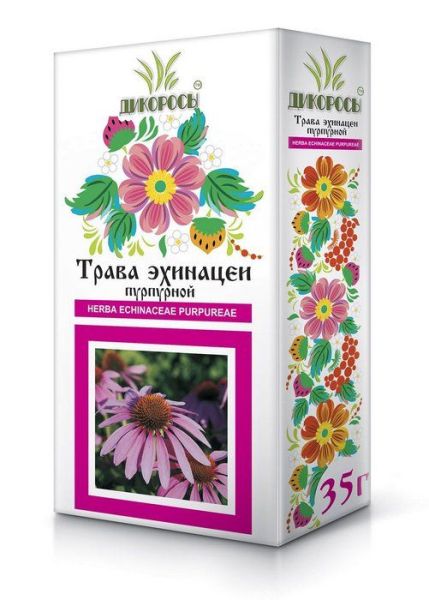 Эхинацеи пурпурной трава Парафарм 35г фотография